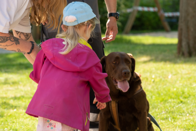 Ein Mädchen wird behutsam an einen Rettungshund rangeführt