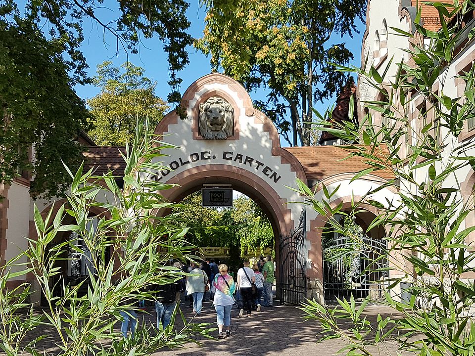 Zooeingang mit dem Löwenkopf von Arthur Puff im Hauptportal